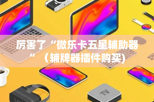 厉害了“微乐卡五星辅助器”（辅牌器插件购买)