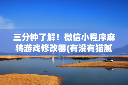 三分钟了解！微信小程序麻将游戏修改器(有没有猫腻)