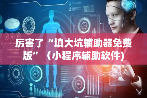 厉害了“填大坑辅助器免费版”（小程序辅助软件)