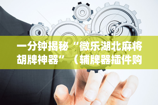 一分钟揭秘“微乐湖北麻将胡牌神器”（辅牌器插件购买)