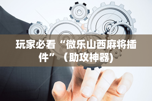 玩家必看“微乐山西麻将插件”（助攻神器)