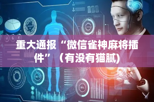 重大通报“微信雀神麻将插件”（有没有猫腻)