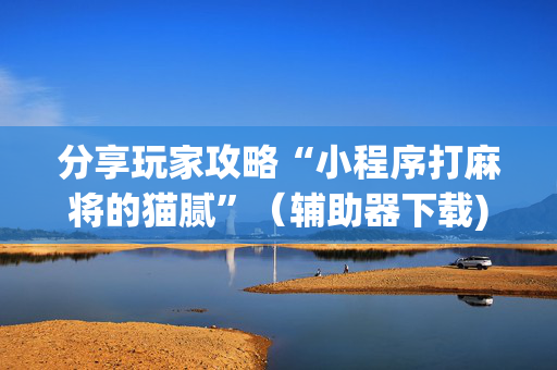 分享玩家攻略“小程序打麻将的猫腻”（辅助器下载)