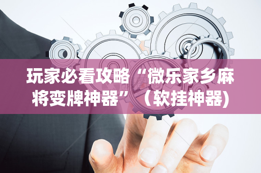 玩家必看攻略“微乐家乡麻将变牌神器”（软挂神器)
