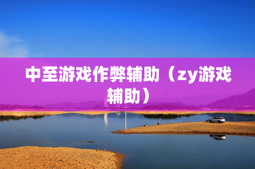 中至游戏作弊辅助（zy游戏辅助）