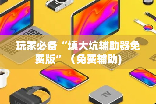 玩家必备“填大坑辅助器免费版”（免费辅助)