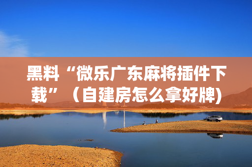 黑料“微乐广东麻将插件下载”（自建房怎么拿好牌)