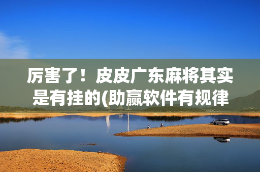厉害了！皮皮广东麻将其实是有挂的(助赢软件有规律吗)
