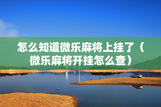怎么知道微乐麻将上挂了（微乐麻将开挂怎么查）