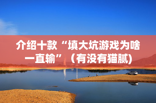 介绍十款“填大坑游戏为啥一直输”（有没有猫腻)