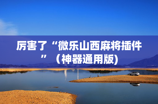 厉害了“微乐山西麻将插件”（神器通用版)