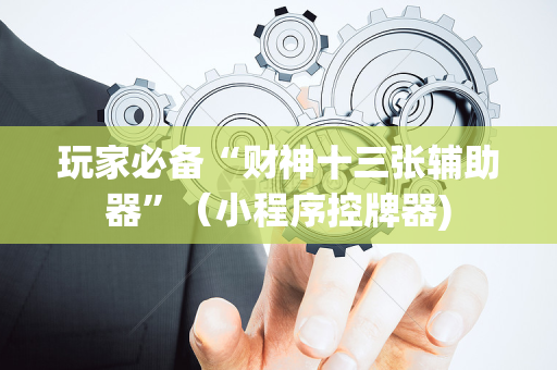 玩家必备“财神十三张辅助器”（小程序控牌器)