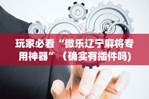玩家必看“微乐辽宁麻将专用神器”（确实有插件吗)