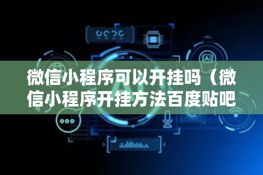 微信小程序可以开挂吗（微信小程序开挂方法百度贴吧）
