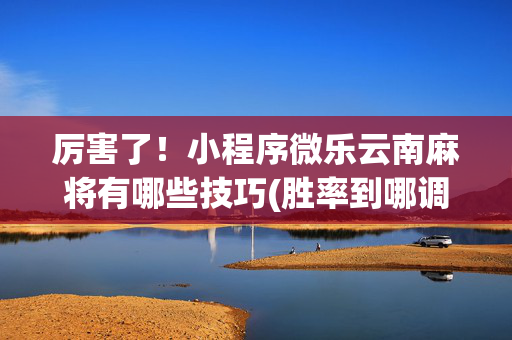 厉害了！小程序微乐云南麻将有哪些技巧(胜率到哪调)
