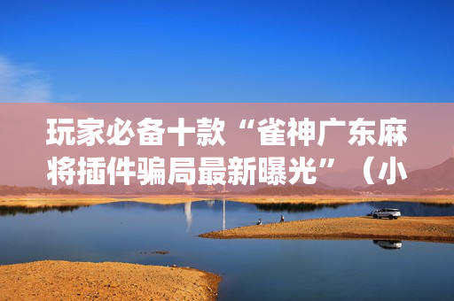 玩家必备十款“雀神广东麻将插件骗局最新曝光”（小程序控牌器)
