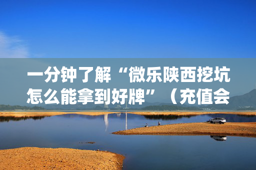 一分钟了解“微乐陕西挖坑怎么能拿到好牌”（充值会提高胜率么)