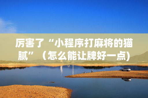 厉害了“小程序打麻将的猫腻”（怎么能让牌好一点)