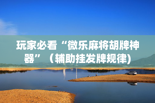 玩家必看“微乐麻将胡牌神器”（辅助挂发牌规律)