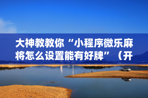 大神教教你“小程序微乐麻将怎么设置能有好牌”（开挂辅助器插件)
