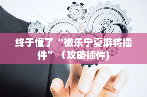 终于懂了“微乐宁夏麻将插件”（攻略插件)