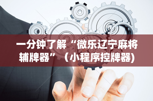 一分钟了解“微乐辽宁麻将辅牌器”（小程序控牌器)