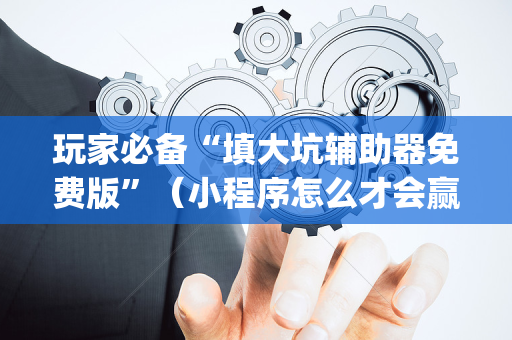 玩家必备“填大坑辅助器免费版”（小程序怎么才会赢)
