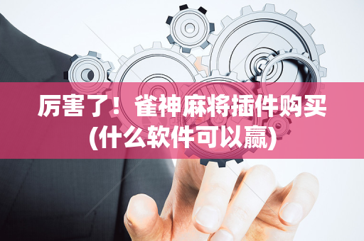厉害了！雀神麻将插件购买(什么软件可以赢)
