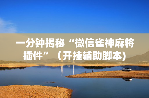 一分钟揭秘“微信雀神麻将插件”（开挂辅助脚本)