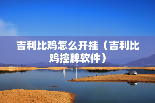 吉利比鸡怎么开挂（吉利比鸡控牌软件）