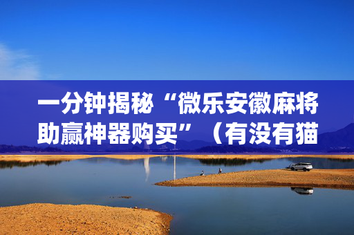 一分钟揭秘“微乐安徽麻将助赢神器购买”（有没有猫腻)