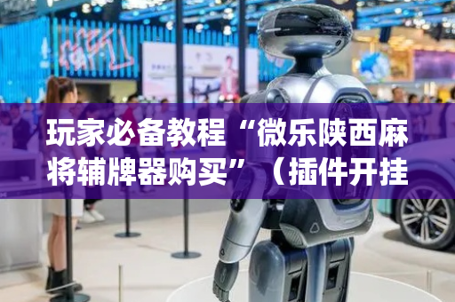 玩家必备教程“微乐陕西麻将辅牌器购买”（插件开挂免费AI)