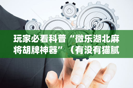 玩家必看科普“微乐湖北麻将胡牌神器”（有没有猫腻)