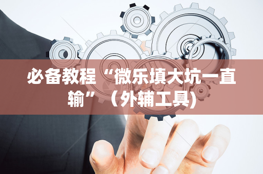 必备教程“微乐填大坑一直输”（外辅工具)