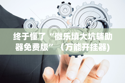 终于懂了“微乐填大坑辅助器免费版”（万能开挂器)
