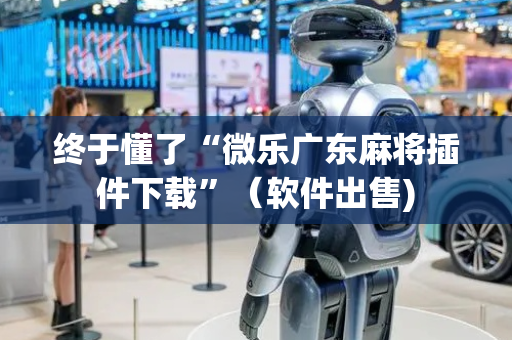 终于懂了“微乐广东麻将插件下载”（软件出售)