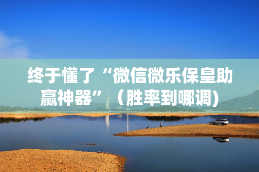 终于懂了“微信微乐保皇助赢神器”（胜率到哪调)
