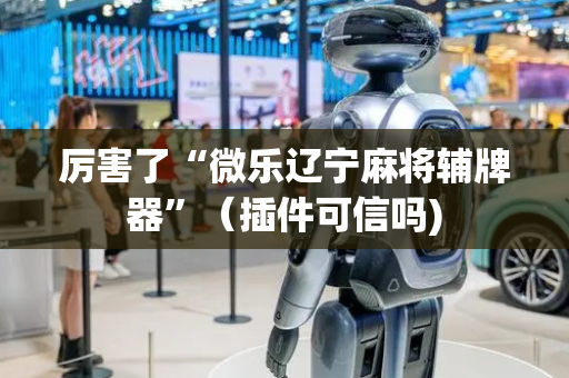 厉害了“微乐辽宁麻将辅牌器”（插件可信吗)