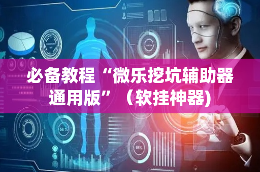 必备教程“微乐挖坑辅助器通用版”（软挂神器)
