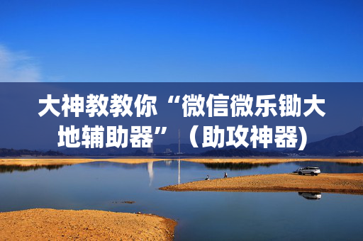 大神教教你“微信微乐锄大地辅助器”（助攻神器)