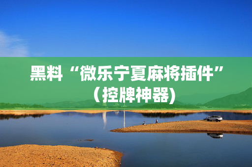 黑料“微乐宁夏麻将插件”（控牌神器)