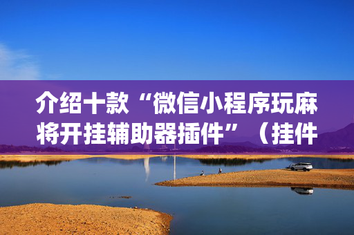 介绍十款“微信小程序玩麻将开挂辅助器插件”（挂件神器)