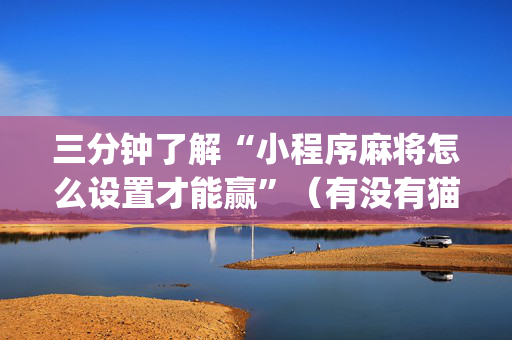 三分钟了解“小程序麻将怎么设置才能赢”（有没有猫腻)
