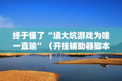 终于懂了“填大坑游戏为啥一直输”（开挂辅助器脚本)