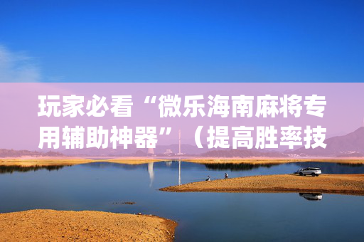 玩家必看“微乐海南麻将专用辅助神器”（提高胜率技巧)