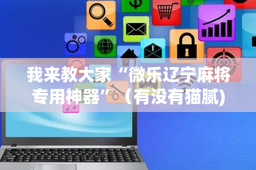 我来教大家“微乐辽宁麻将专用神器”（有没有猫腻)