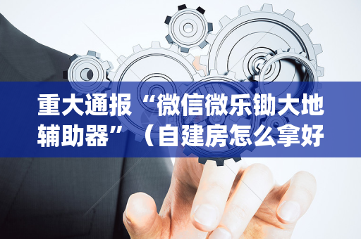 重大通报“微信微乐锄大地辅助器”（自建房怎么拿好牌)