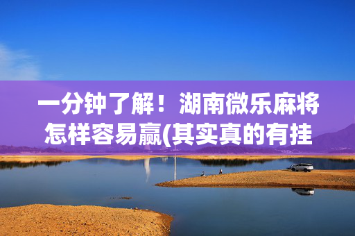 一分钟了解！湖南微乐麻将怎样容易赢(其实真的有挂)