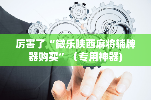 厉害了“微乐陕西麻将辅牌器购买”（专用神器)
