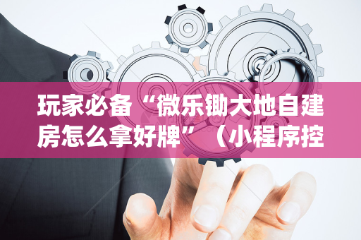 玩家必备“微乐锄大地自建房怎么拿好牌”（小程序控牌器)